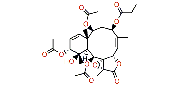 Excavatolide Y